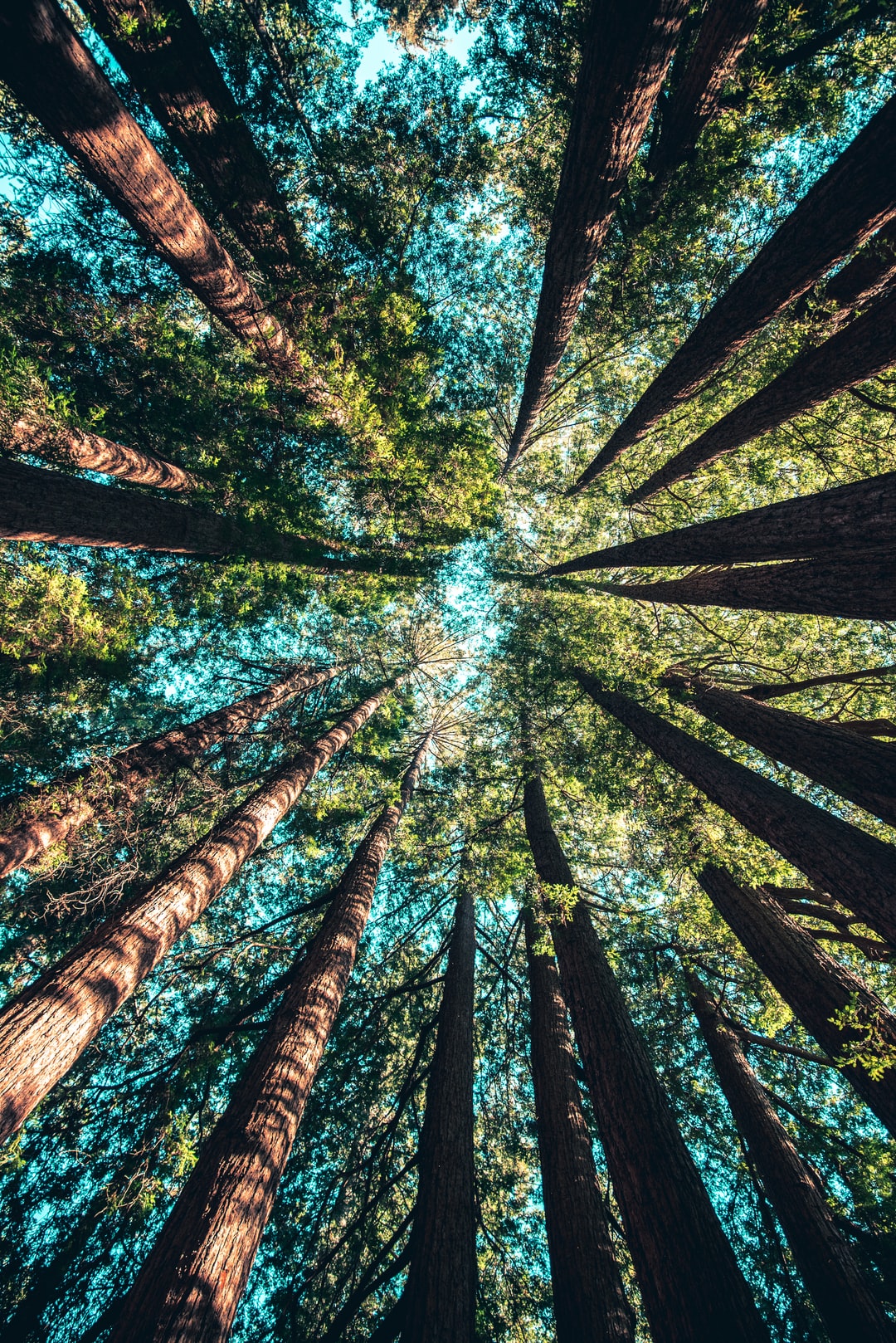 photo-1513836279014-a89f7a76ae86 environnement