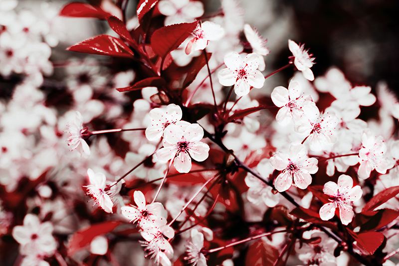 nick-fox-SVVC8DEEzOw-unsplash Fabricant de bougie en cire naturelle aux mille parfums